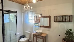 A bathroom with a shower, toilet, sink, and a potted plant.