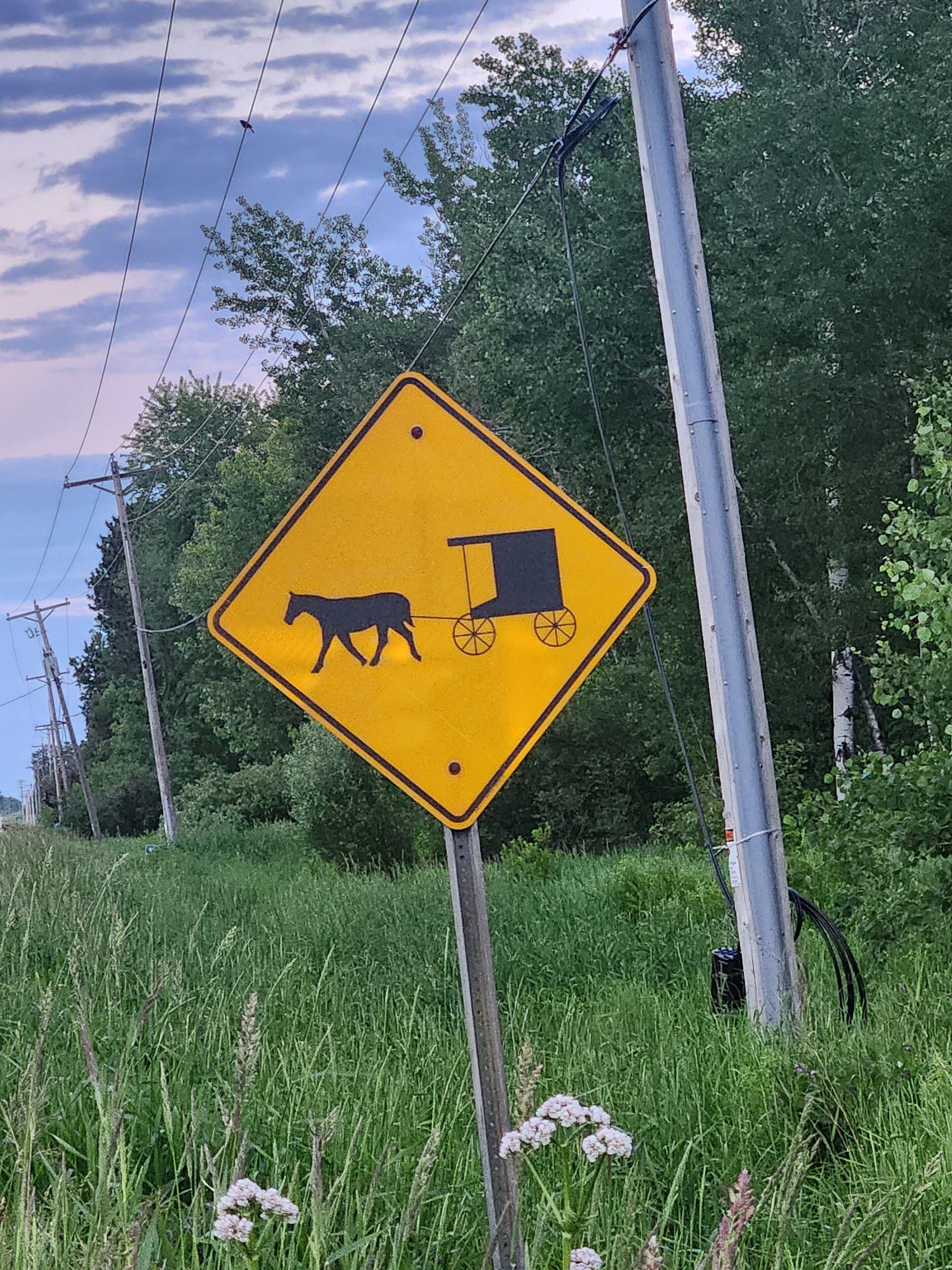 A yellow warning sign with a black bear and a wagon symbol, indicating a crossing area.