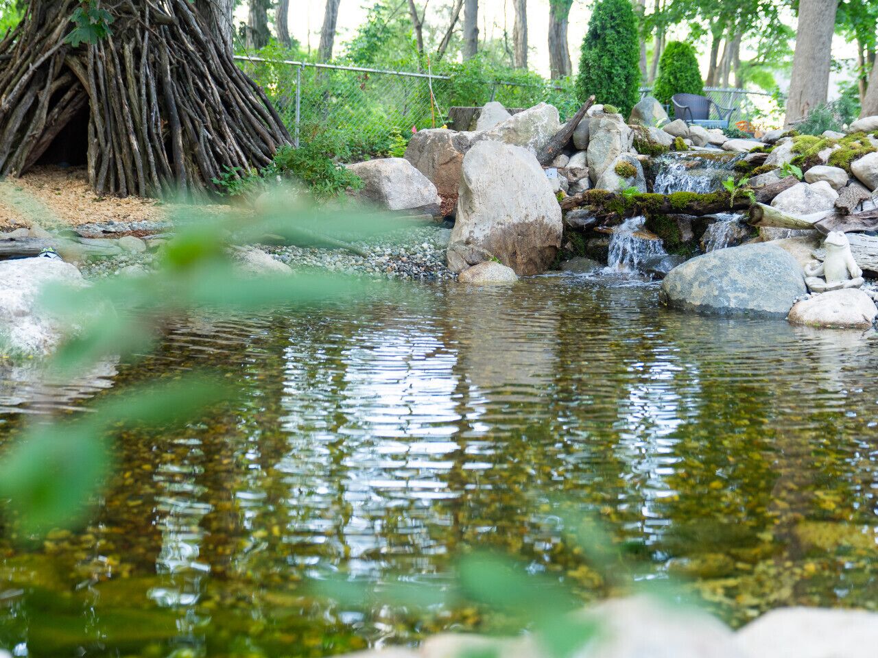 A natural pond with rocks and a tree trunk.