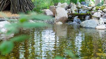 A natural pond with rocks and a tree trunk.