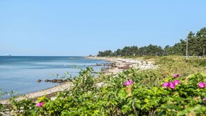 Nær stranden og fisking