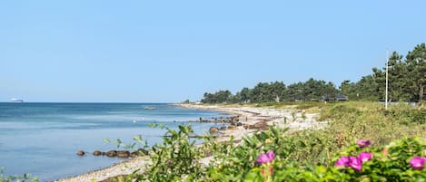 Beach nearby, fishing