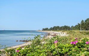 Beach nearby, fishing