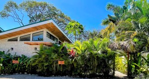 Una casa moderna con techo inclinado y amplios ventanales, rodeada de exuberante vegetación tropical.