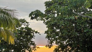 A beach with a sunset, palm trees, and a small boat. - Bright and Tropical Casa Mar, Playa Pelada, Nosara (NICOYA)