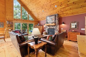 TV, fireplace, DVD player, books