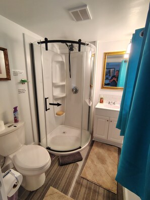 A bathroom with a glass-enclosed shower, a toilet, a sink with a mirror, and a blue shower curtain.