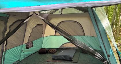 Rustic campground in Butternut