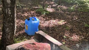 Een barbecue met steaks die buiten worden bereid, omringd door bomen en een blauwe container op de achtergrond.