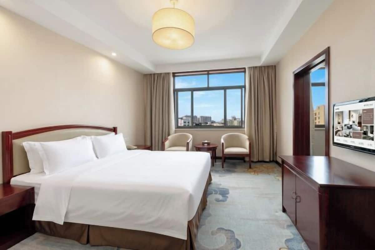 A hotel room with a bed, a desk, a chair, a television, and a window with a city view.