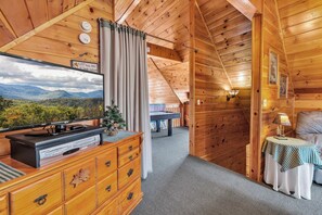 TV, fireplace, video games, DVD player