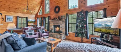 テレビ、暖炉、テレビゲーム、DVD プレーヤー