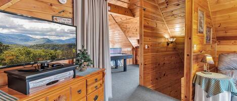 TV, fireplace, video games, DVD player