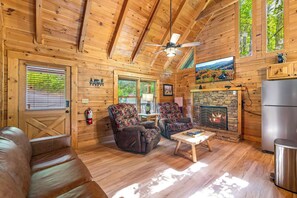 TV, fireplace, video games, DVD player