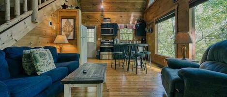 Télévision, cheminée, espaces bureaux