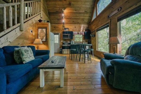 TV, fireplace, offices