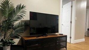 Ein Wohnzimmer mit Flachbildfernseher auf einem Holzbodenständer, einer Blumentopf-Pflanze und einem schwarzen Netzschrank.