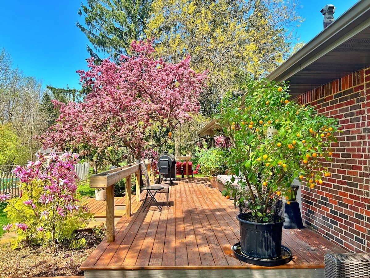 Terrasse/Patio