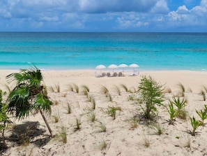 Una playa con sombrillas blancas y sillas de descanso, palmeras y una vista despejada del océano.