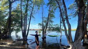 A person standing by a hammock in a forested area near a body of water. - Lake shore queen bed trailer, tiki torches, & tent space for extra guest (Clifton)