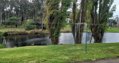 Tranquil retreat on Middleton Road, mid-way between the city and the sea!