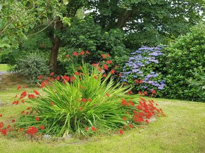 A garden with a large tree, various shrubs, and a variety of flowers including red and purple blooms.