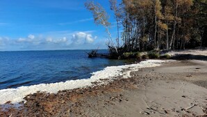 Une plage avec un ciel dégagé, un rivage sablonneux et des arbres en arrière-plan.