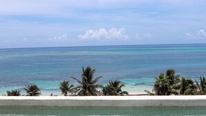 A beach with clear turquoise water, palm trees, and a distant horizon.