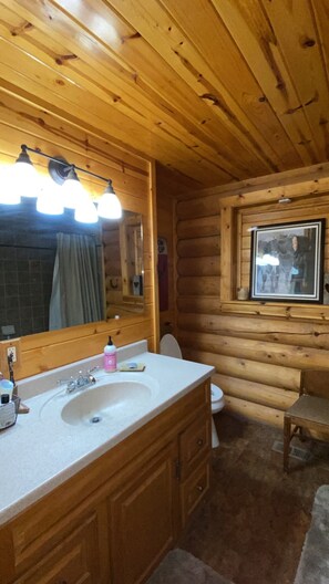 Baño de cabaña de madera con lavamanos, espejo y retrete.
