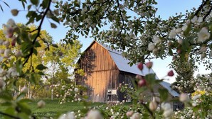 A rustic barn with a sloped roof, surrounded by blooming trees and grass. - Minutes from Marquette, close to Munising, great location for exploring the UP! (Skandia)