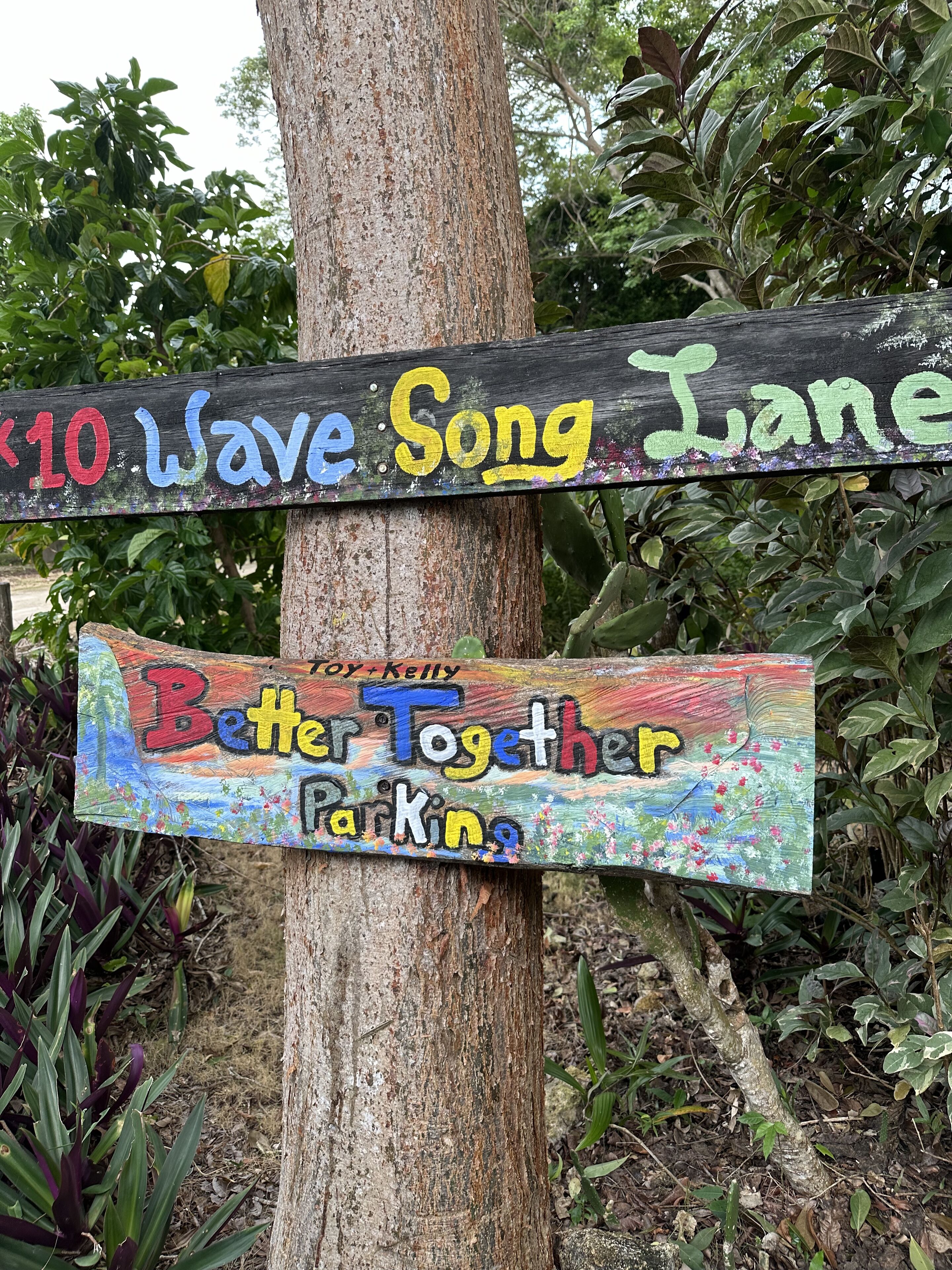 A wooden sign with colorful text, including "10 Wave Song Lane" and "Better Together Parking."