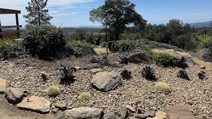 Un jardín con rocas, cactus y árboles.