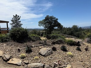 A garden with rocks, cacti, and trees.