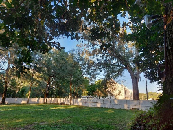 Property grounds - Charming 2-bedroom cottage in delightful Belleview with WiFi, AC (Belleview)