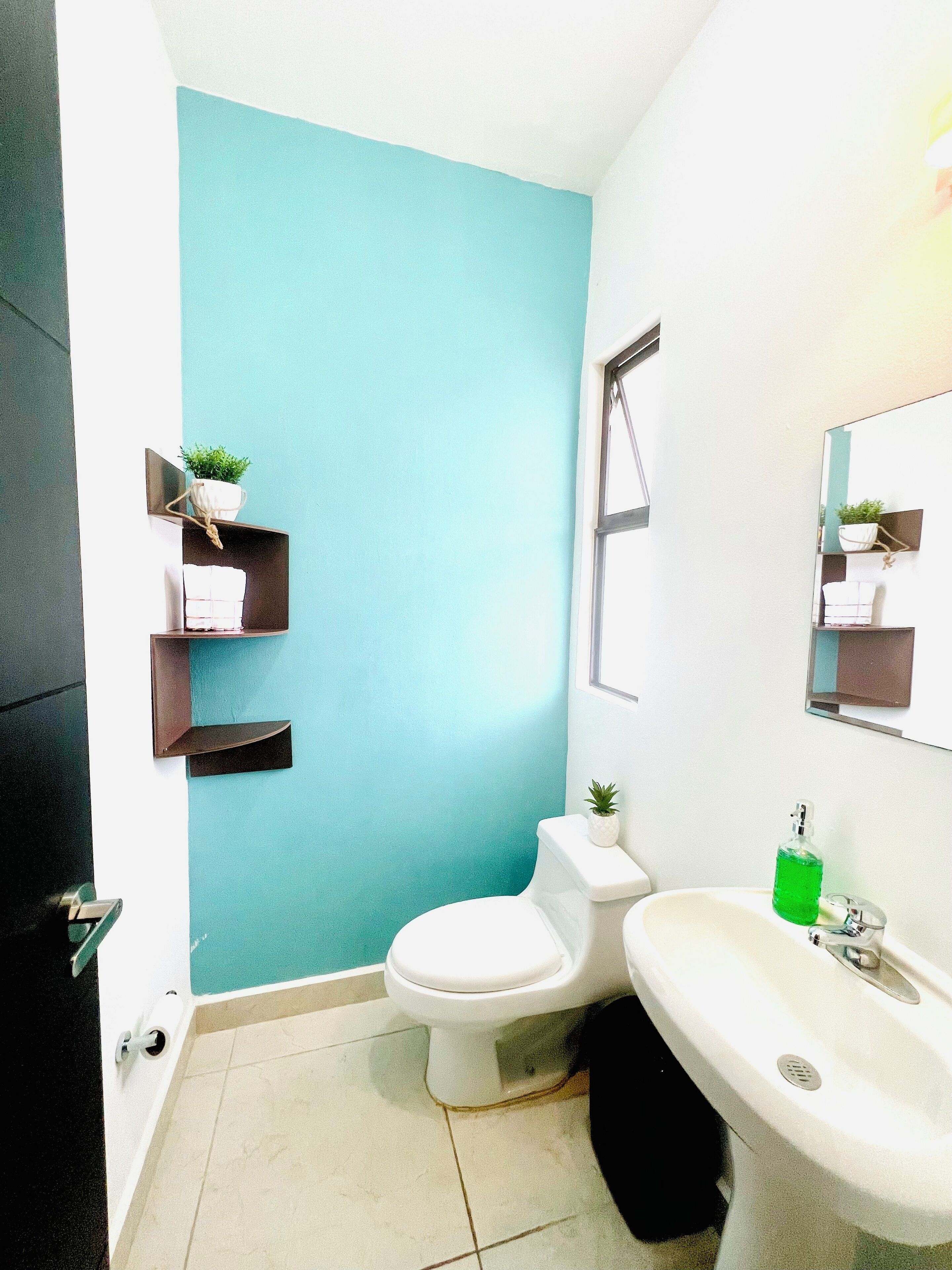 A bathroom with a blue accent wall, a toilet, a sink, and two shelves with plants.