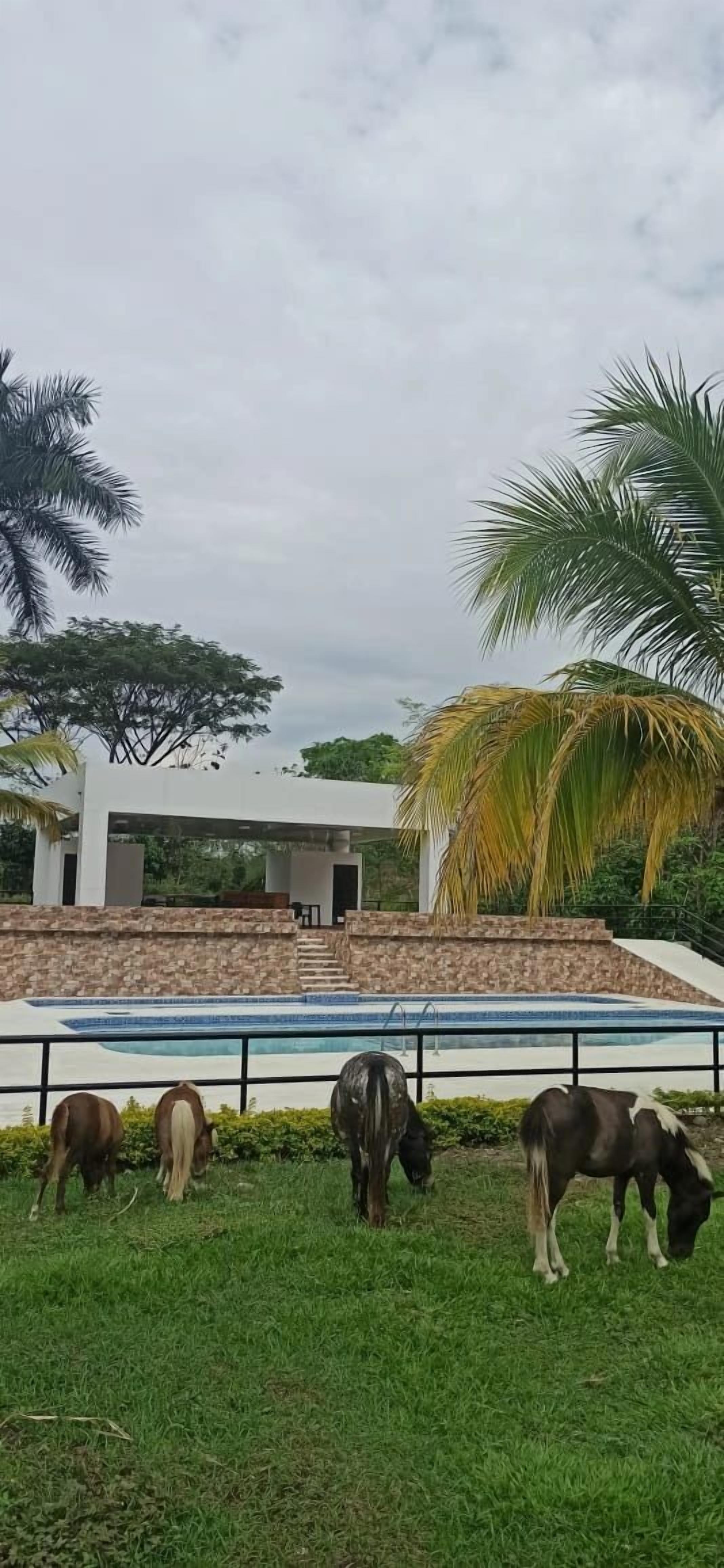 المنشأة من الخارج