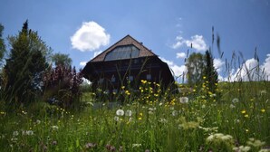 A house with a sloped roof and a large window, surrounded by a field of wildflowers and tall grasses.