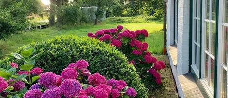 Overnatningsstedets område