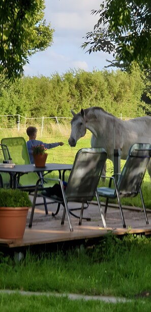 Speisen im Freien