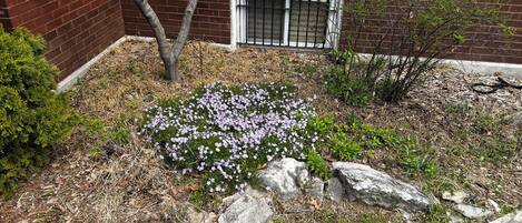 المنطقة المحيطة بالمنشأة