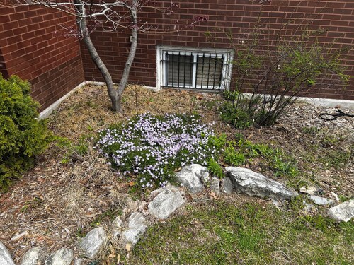 Spacious 4-bedroom house in gorgeous St. Louis with WiFi, AC