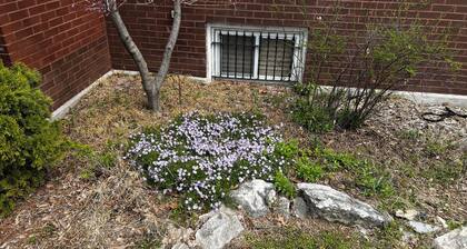 Spacious 4-bedroom house in gorgeous St. Louis with WiFi, AC