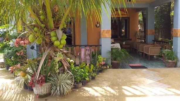 A covered outdoor area with a palm tree, potted plants, and a seating area with chairs. - Golden Anchor- Lodge (Coron)