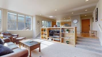 TV, fireplace, DVD player