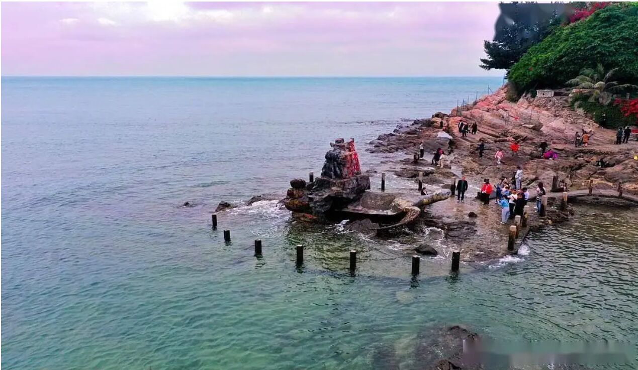 A rocky coastal area with clear water, a few people, and a large tree.