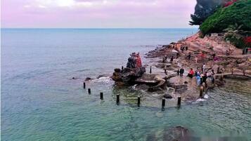 A rocky coastal area with clear water, a few people, and a large tree.