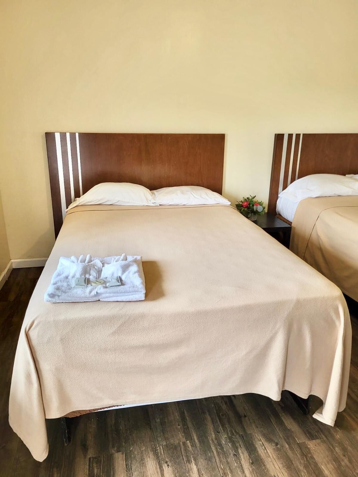 Basic Double Room | Free WiFi