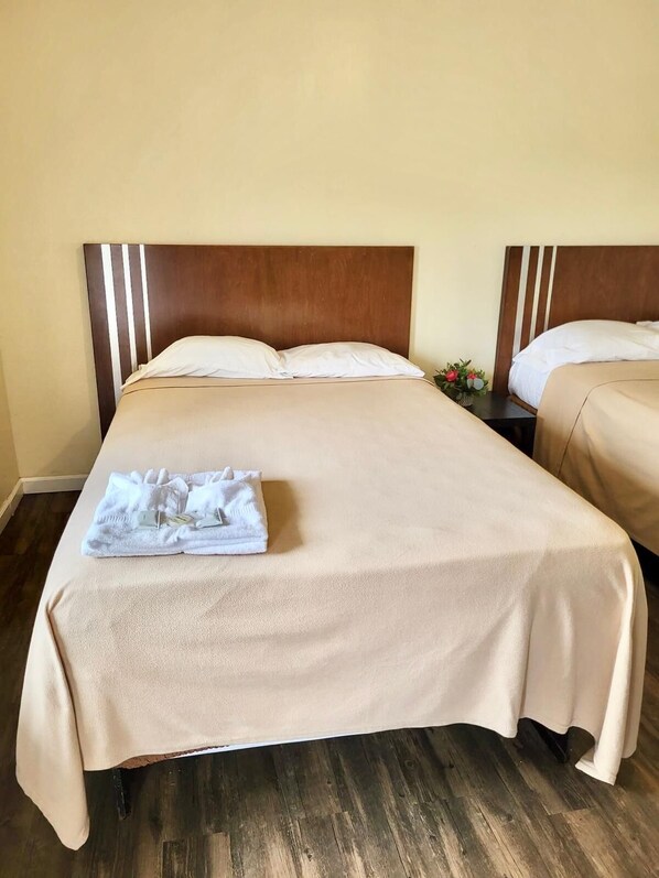 Habitació doble bàsica | Wifi gratuïta 