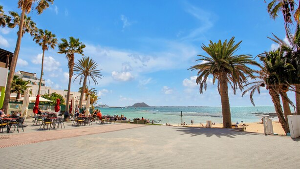 Un paseo marítimo con palmeras, asientos al aire libre y vista al océano.
