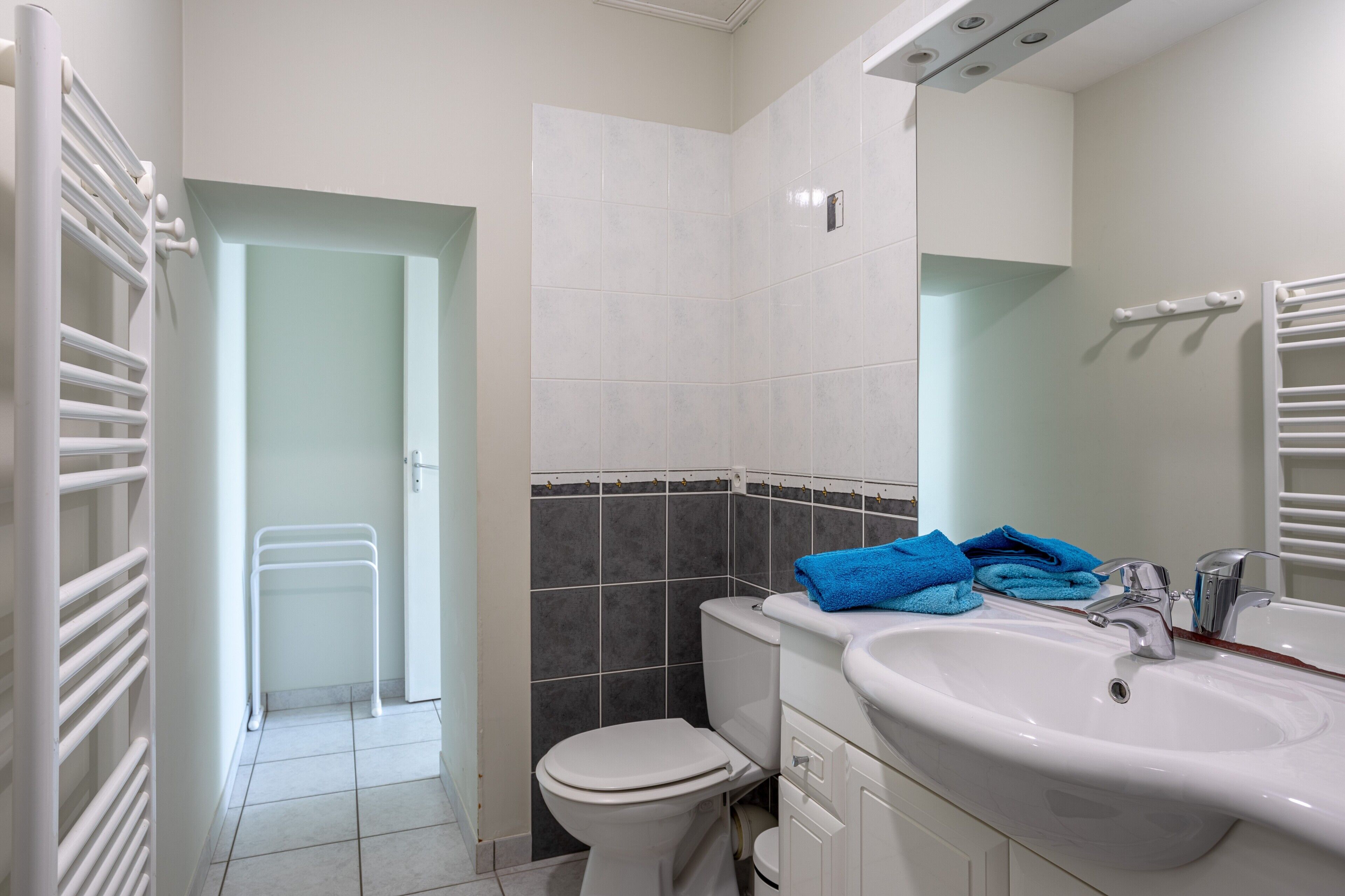 Regadera y secadora de cabello 